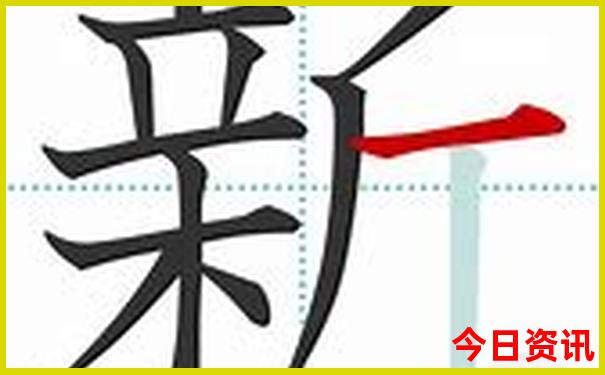 六朵向日葵花束图片